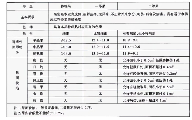 李子冷庫(kù)建造完成后如何用于儲(chǔ)存的？這些你都知道嗎