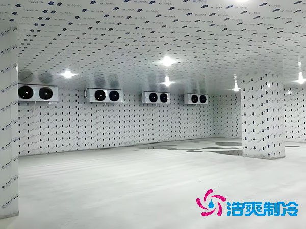 上海地區(qū)建造一個(gè)小型冷庫(kù)造價(jià)大概多少錢？-浩爽制冷