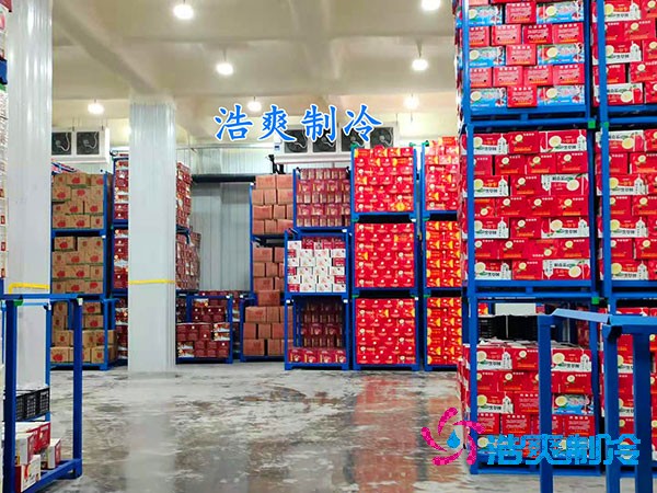 保鮮冷庫造價概覽，果蔬保鮮庫費用解析